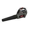 Souffleur à batterie BL300 + chargeur rapide OREGON 586648