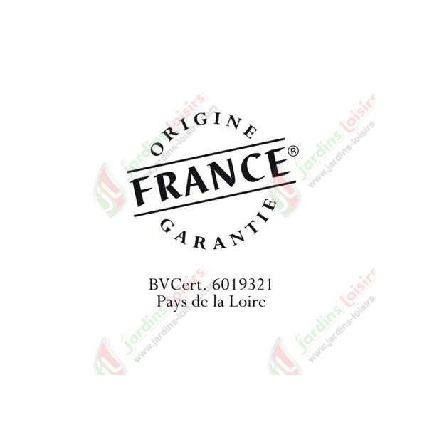 Ebrancheur pro - 50 mm - P19-80-F - BAHCO