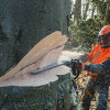 Tronçonneuse MS661 C-M/63CM R ES 36RM STIHL