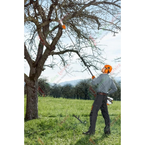 Perche élagueuse thermique HT 56C-E STIHL