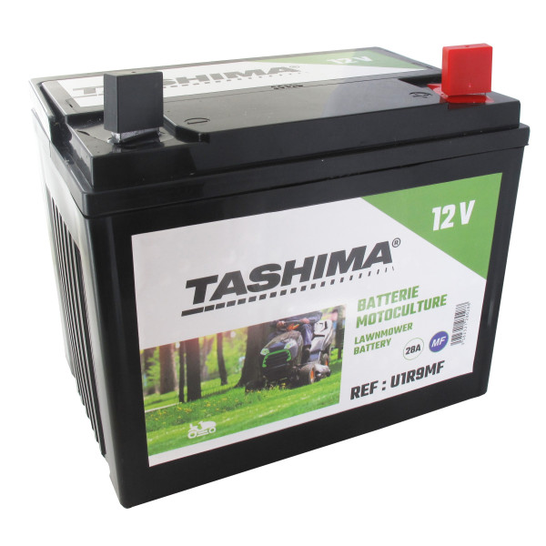 BATTERIE POUR TONDEUSE AUTOPORTEE U19SLA + GAUCHE