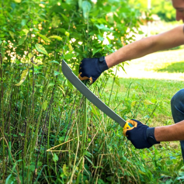 https://www.jardins-loisirs.com/29879-large_default/machette-42cm-em-duo-bi-matiere-leborgne.jpg