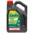 Huile moteur 2 temps 5L Garden MOTUL