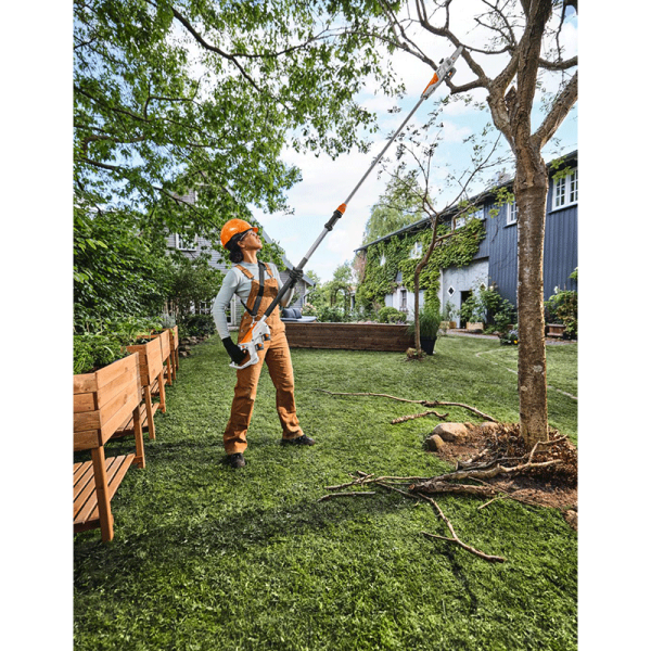 Tronçonneuse sur perche STIHL HTA 30 – Pack 2 batteries + chargeur