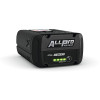Batterie STIHL AP 200.0 P ALLPRO 222 Wh