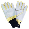 Gants épineux Berberis GT016 FRANCITAL