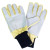Gants épineux Berberis GT016 FRANCITAL