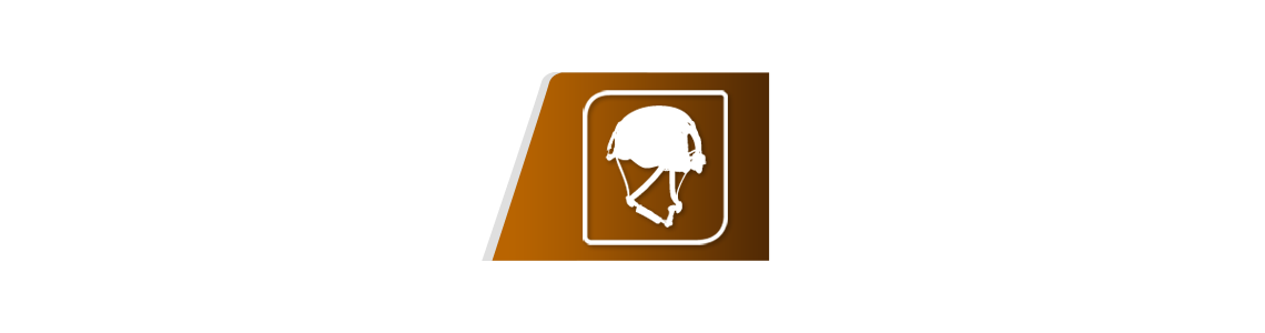 Casque élagage