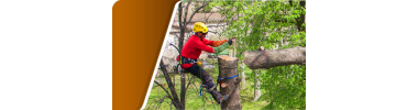 Démonter - Equipement abattage arbre