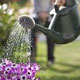 Entretenir son jardin