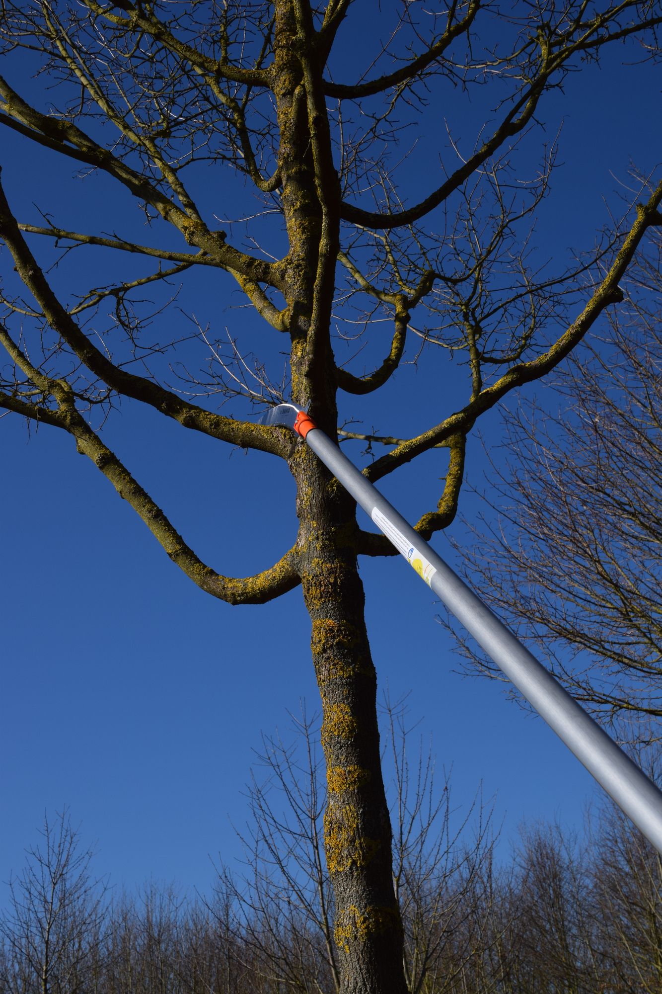 Les perches télescopique pour la taille en hauteur