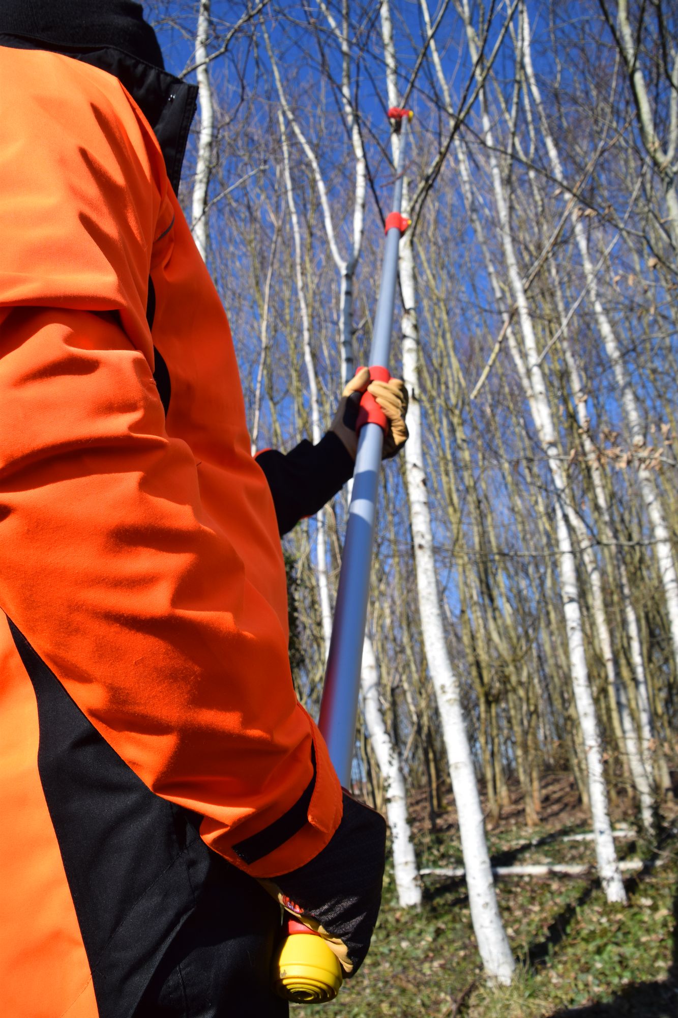 STIHL- Perche d'élagage HTE 60 / longueur total 2m10 et chaine