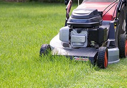 Comment bien choisir sa tondeuse à gazon ?