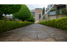 Affûtage, nettoyage, stockage : l’entretien complet d’un taille-haie