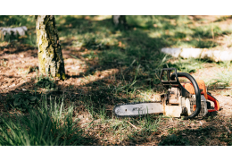 Petits travaux, élagage, abattage : quelle tronçonneuse pour quel type de coupe ?