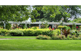 Comment utiliser une débroussailleuse sans abîmer son terrain ?