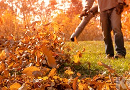 Le souffleur : outil indispensable pour l'entretien de votre terrain et se débarrasser des feuilles mortes