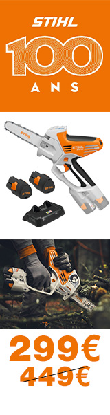 Stihl 100 ans - Scie de jardin à batterie GTA 40 STIHL